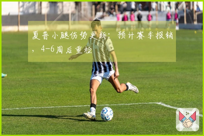 夏普小腿伤势更新：预计赛季报销，4-6周后重检