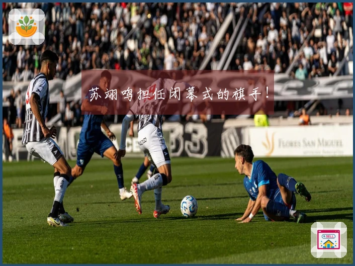 苏翊鸣担任闭幕式的旗手！