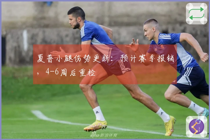 夏普小腿伤势更新：预计赛季报销，4-6周后重检